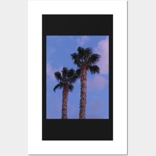 Two Palm Trees at Night Posters and Art